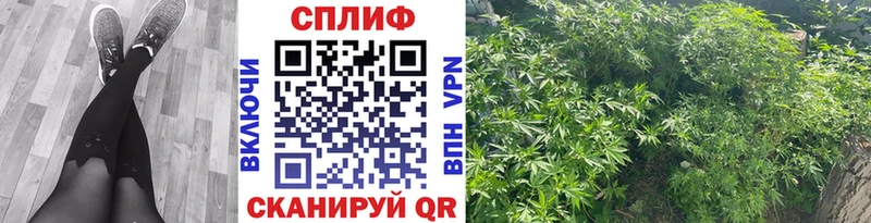 Канабис планчик Амурск